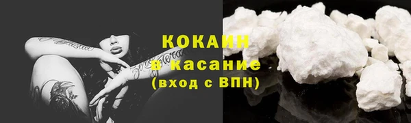 шишки Михайлов