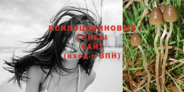 Альфа ПВП Михайловка