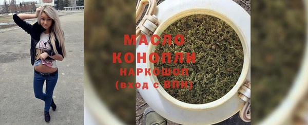 молекула духа Михайловск